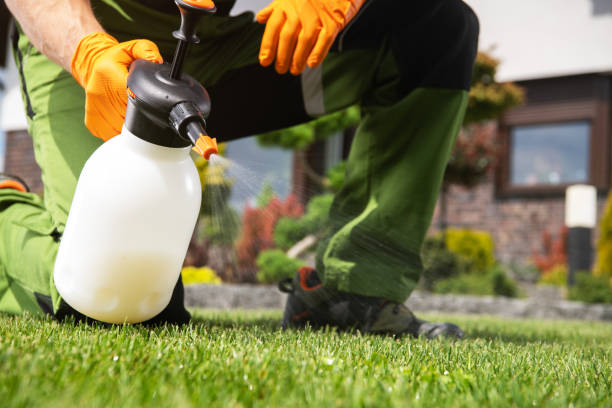 Best Pest Prevention Services  in Rio Hondo, TX