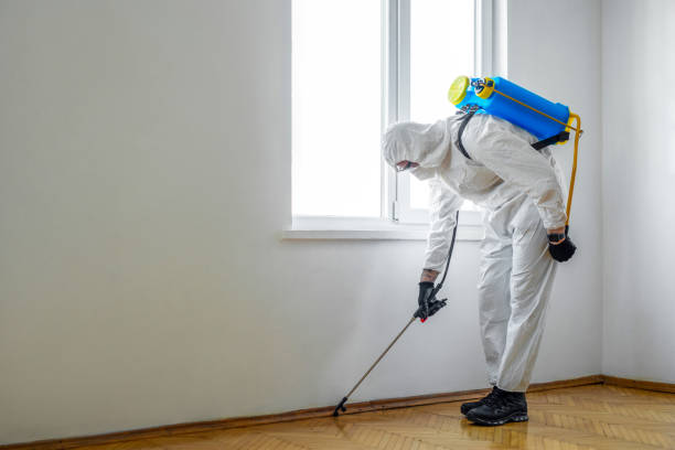 Best Pest Control for Businesses  in Rio Hondo, TX